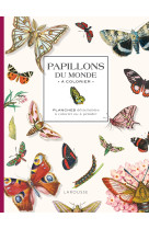 Papillons du monde a colorier