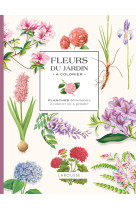 Fleurs du jardin a colorier