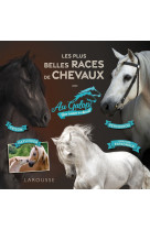 Au galop - les plus belles races de chevaux