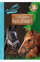 Roman au galop, une annee a cheval - il faut sauver nox et zach