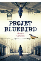 Projet bluebird