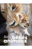 La vie sauvage des bébés animaux