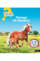 Poneys et chevaux