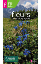 Gros plan sur les fleurs des montagnes