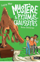 Mystère et pyjamas-chaussettes - tome 5: panique préhistorique