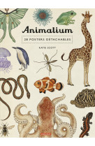 Animalium