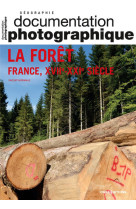 La forêt - france, xviie-xxie siècle dp numéro 8150