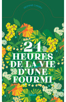 24 heures de la vie d'une fourmi