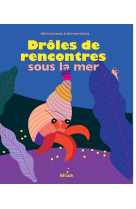 Drôles de rencontres sous la mer