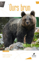 L'ours brun