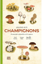 Allons aux champignons