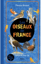 Les oiseaux de france