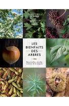 Les bienfaits des arbres