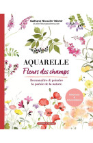 Aquarelle fleurs des champs