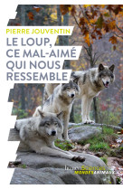 Le loup, ce mal-aimé qui nous ressemble