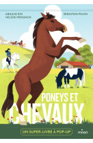 Poneys et chevaux