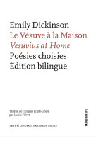 Le vésuve à la maison - poésies choisies