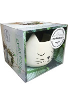 Coffret chat pousse