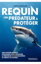 Requin, un prédateur à protéger