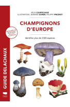 Champignons d'europe