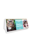 Calendrier semainier 2025 chats et chatons