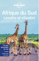 Afrique du sud, lesotho et eswatini 11ed