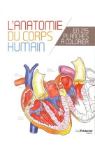 L'anatomie du corps humain en 25 planches à colorier