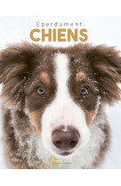 éperdument chiens