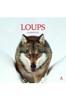 Loup - calendrier 2025