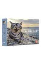 Agenda - calendrier drôles de chats 2024