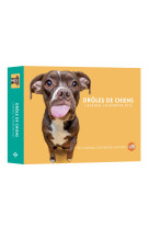 Agenda - calendrier drôles de chiens 2024