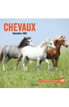 Calendrier mural chevaux 2024