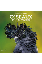 Calendrier mural oiseaux du monde 2024