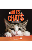 Calendrier mural drôles de chats 2024