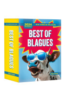 Mon année - best of blagues 2024