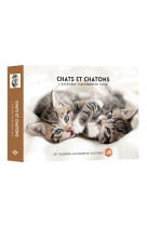 Agenda - calendrier chats et chatons 2024