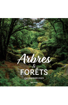 Calendrier mural arbres et forêts 2023