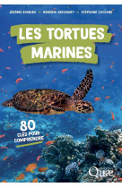 Les tortues marines