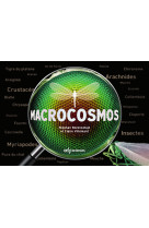 Macrocosmos