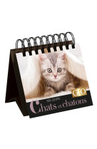 365 jours chats et chatons  - calendrier géo