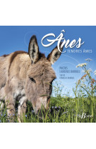 ânes - tendres âmes