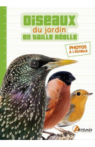 Les oiseaux du jardin en taille réelle