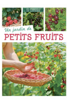 Un jardin de petits fruits