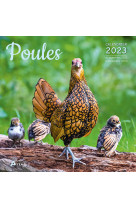 Calendrier poules 2023