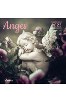 Calendrier anges 2023