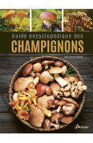 Guide encyclopédique des champignons