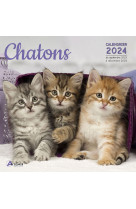 Calendrier chatons 2024