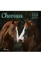 Calendrier chevaux 2024