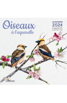 Calendrier oiseaux à l'aquarelle 2024