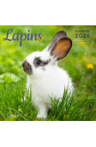 Calendrier lapins 2024